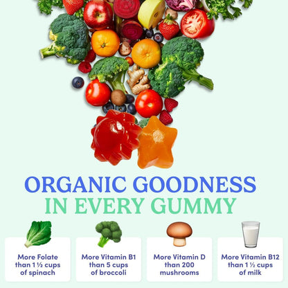 First Day Kids Multivitamin Gummies Age 4+ 60 Count (Pack of 1)